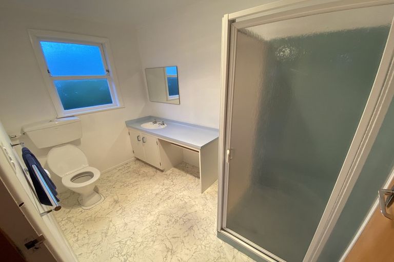 Photo of property in 109 Te Awe Awe Street, Hokowhitu, Palmerston North, 4410