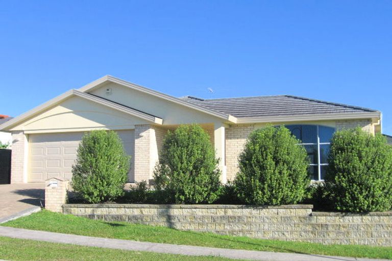 Photo of property in 40 Highfields Terrace, Henderson, Auckland, 0612