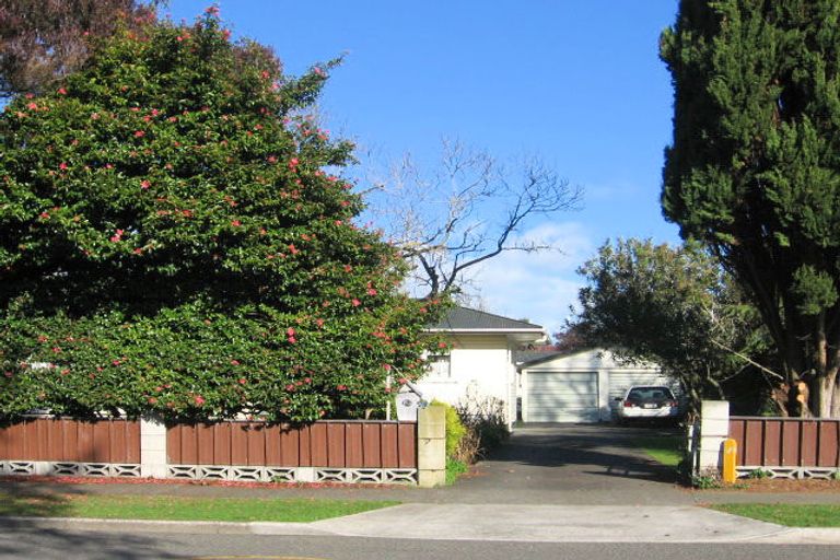 Photo of property in 94 Botanical Road, Takaro, Palmerston North, 4412