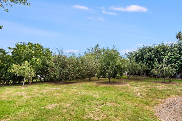 Photo of property in 67 Tarahunga Road, Levin, 5571