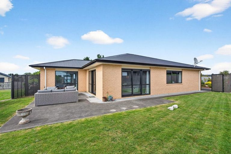 Photo of property in 2 Craigmillar Street, Solway, Masterton, 5810