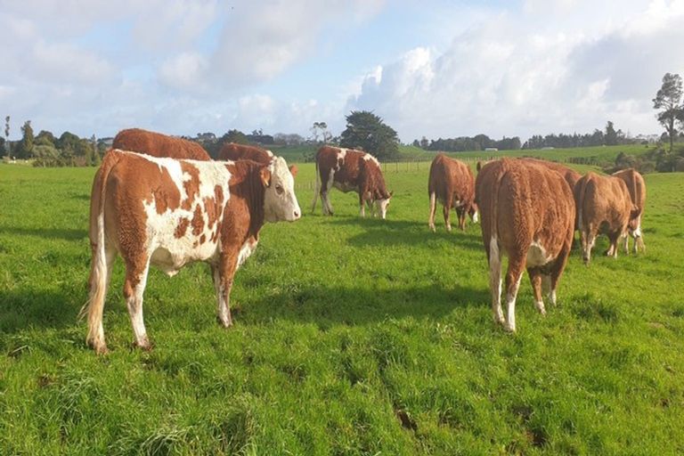 Photo of property in 412b Corbett Road, Lepperton, New Plymouth, 4373