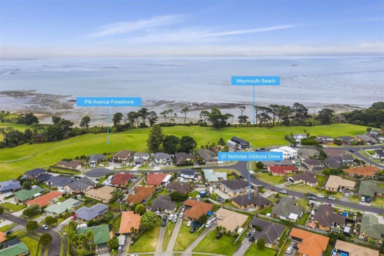 Photo of property in 37 Nicholas Gibbons Drive, Clendon Park, Auckland, 2103