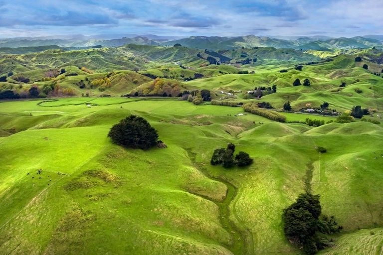 Photo of property in 113 Kaitawa Road, Hautere, Otaki, 5582