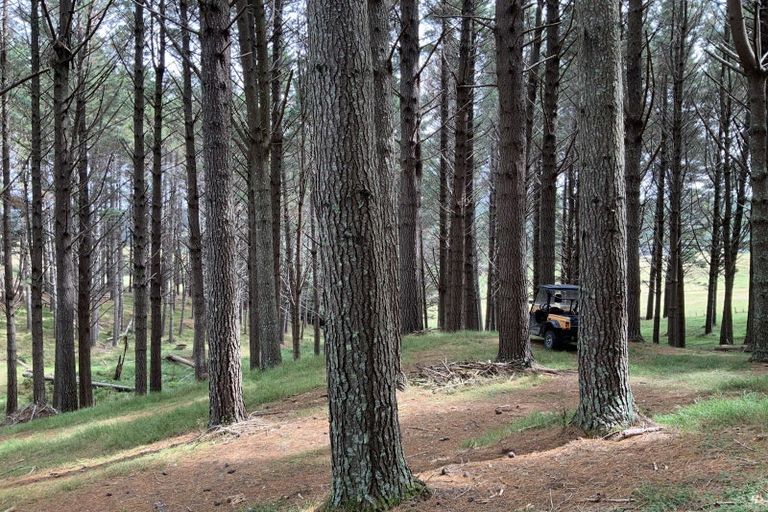 Photo of property in 436 Burnside Road, Makarau, Kaukapakapa, 0873