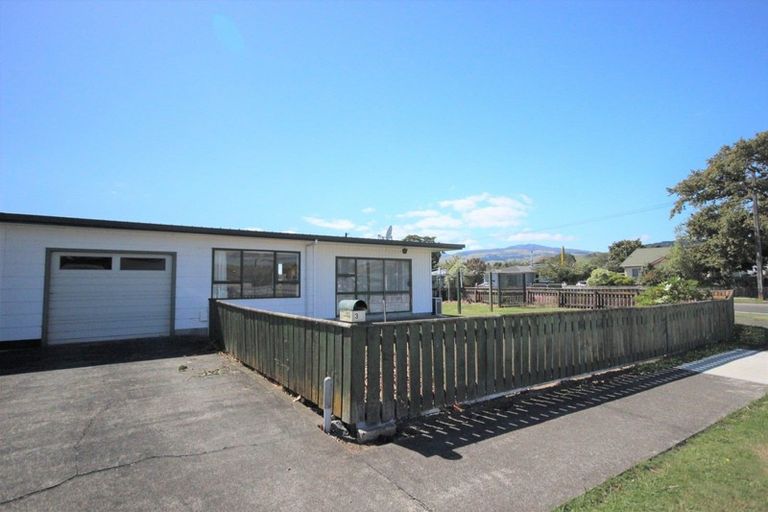 Photo of property in 38 Lincoln Street, Ashhurst, 4810