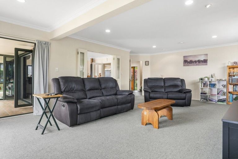 Photo of property in 117 Haukore Street, Hairini, Tauranga, 3112