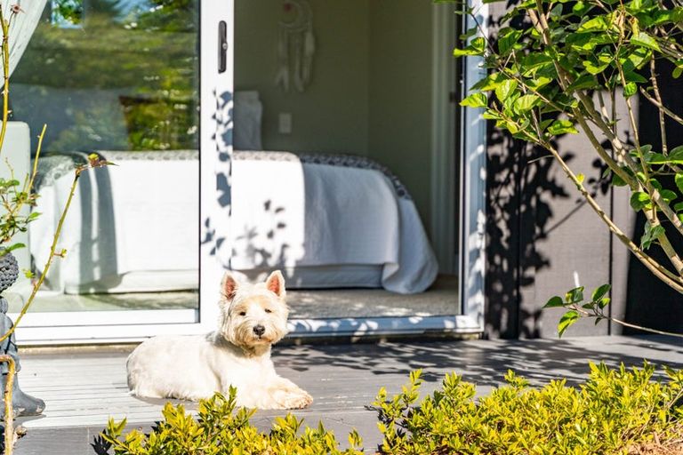 Photo of property in 37 Grove Road, Mangawhai Heads, Mangawhai, 0505