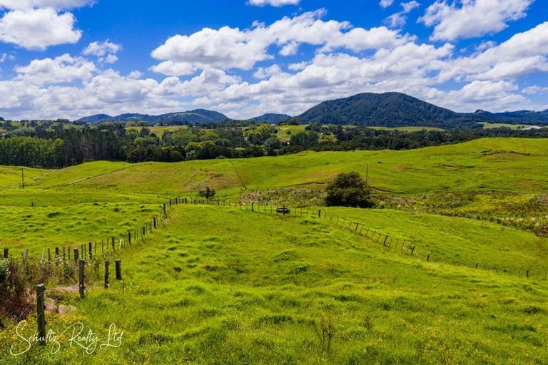 Photo of property in 117 Kaiwaka-mangawhai Road, Kaiwaka, Wellsford, 0975