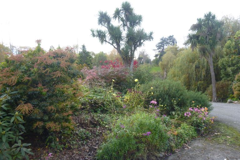 Photo of property in 99 Pye Road, Geraldine Downs, Geraldine, 7991