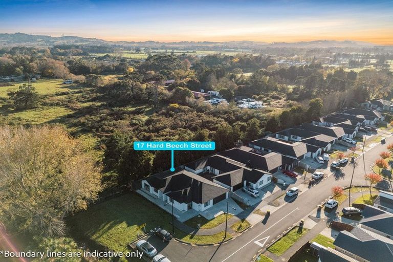 Photo of property in 17 Hard Beech Street, Takanini, 2110