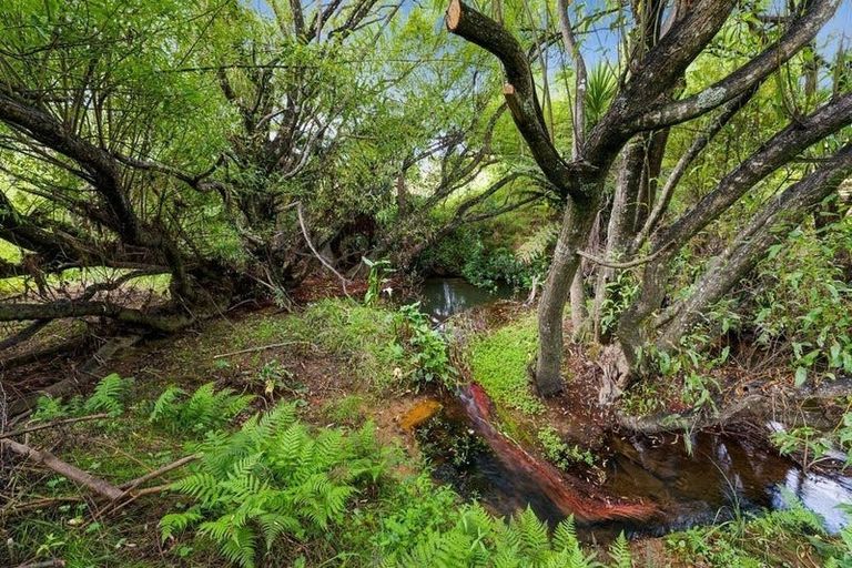 Photo of property in 540 Burnside Road, Makarau, Kaukapakapa, 0873