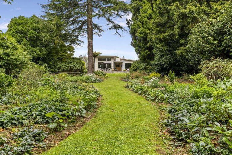 Photo of property in 10 Olivia Street, Stratford, 4332