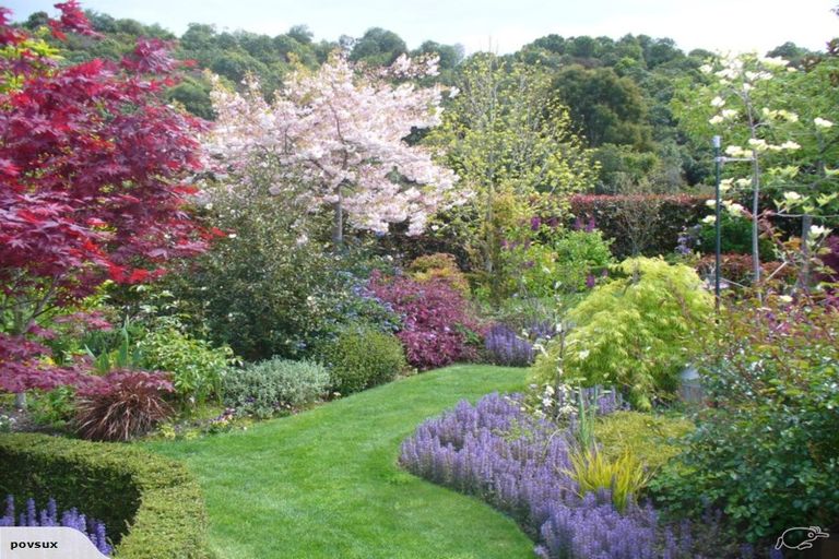 Photo of property in 39 Pukeko Way, Kinloch, Taupo, 3377