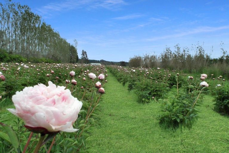 Photo of property in 37 Bluff Hill Road, Waianakarua, Oamaru, 9495