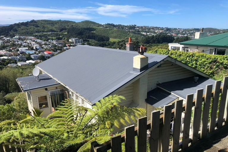 Photo of property in 19 Priscilla Crescent, Mornington, Wellington, 6021