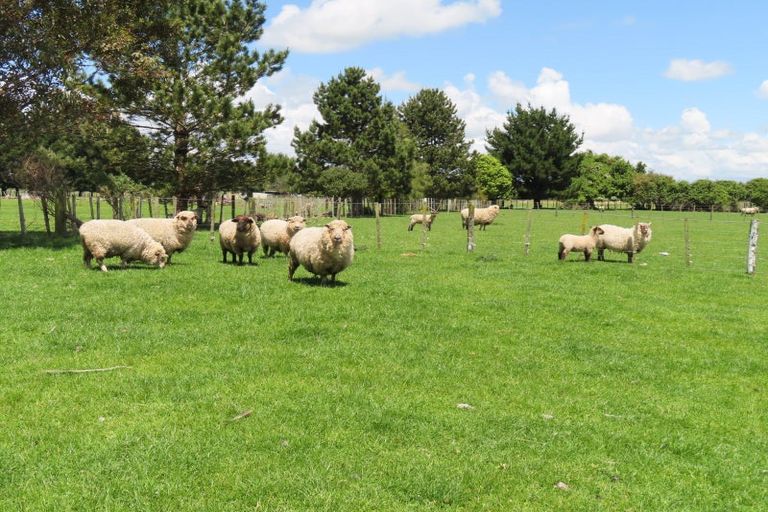 Photo of property in 34 Short Road, Pahiatua, 4982