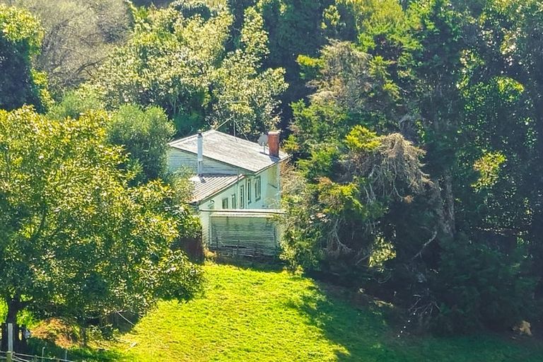 Photo of property in 807 Whakamarama Road, Whakamarama, Tauranga, 3179
