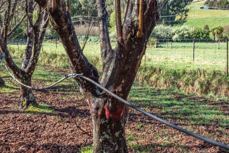 Photo of property in 9 Harmans Track, Little River, 7591