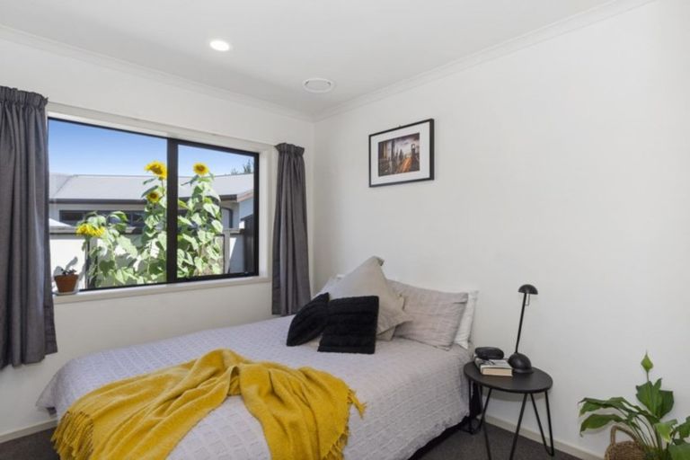 Photo of property in 176 Hollister Lane, Ohauiti, Tauranga, 3112