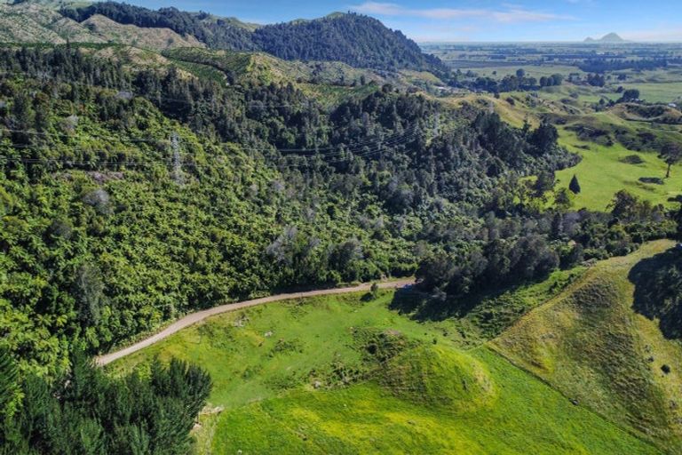Photo of property in 109 Mcivor Road, Rotoma, Whakatane, 3192