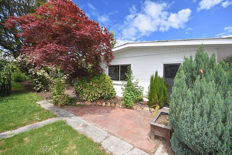 Photo of property in 217 Union Street, Milton, 9220