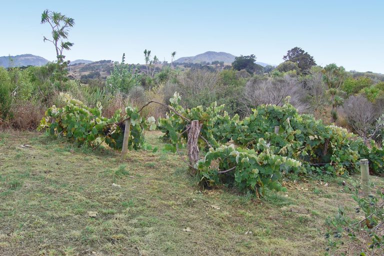 Photo of property in 126 Oneriri Road, Kaiwaka, 0573