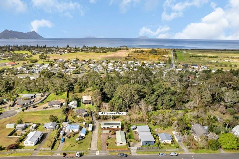 Photo of property in 43 Tamure Place, Ruakaka, 0116