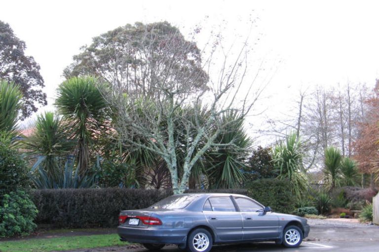 Photo of property in 1/13 Bleakley Place, Hillcrest, Hamilton, 3216