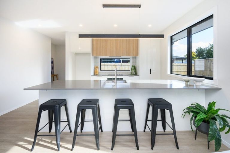 Photo of property in 10c Limbrick Street, Terrace End, Palmerston North, 4410