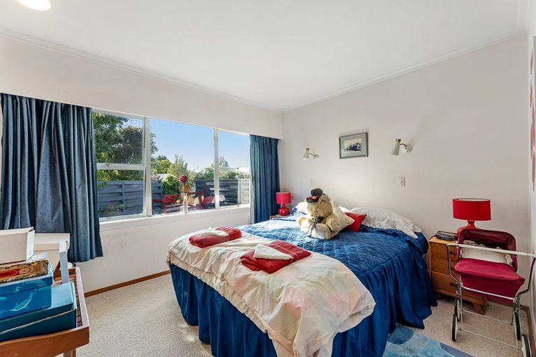 Photo of property in 117 Maxwell Road, Blenheim, 7201