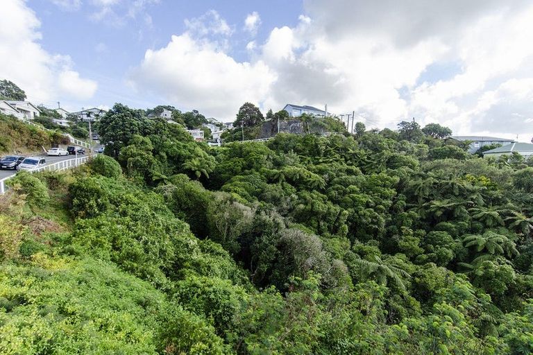 Photo of property in 72 Farnham Street, Mornington, Wellington, 6021