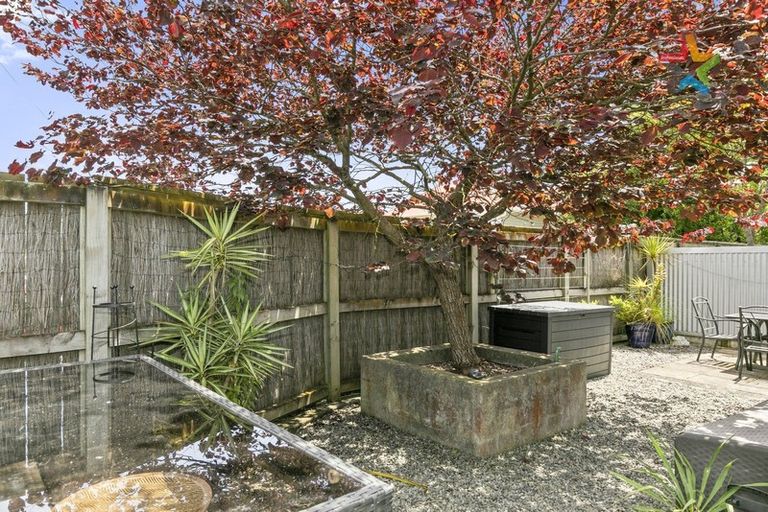 Photo of property in 1a/10 Park Avenue, Epuni, Lower Hutt, 5011