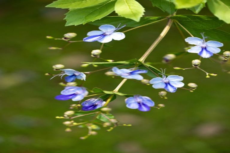 Photo of property in 9b Edinburgh Street, Pukekohe, 2120