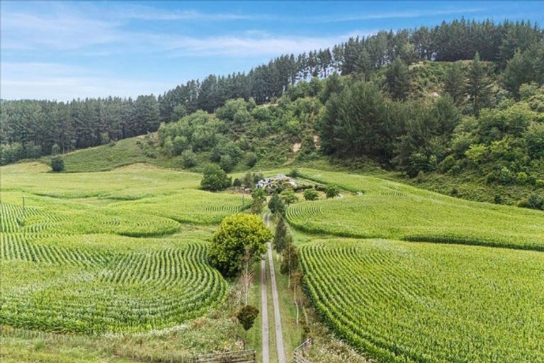 Photo of property in 280 Kaitaringa Road, Aria, Te Kuiti, 3981