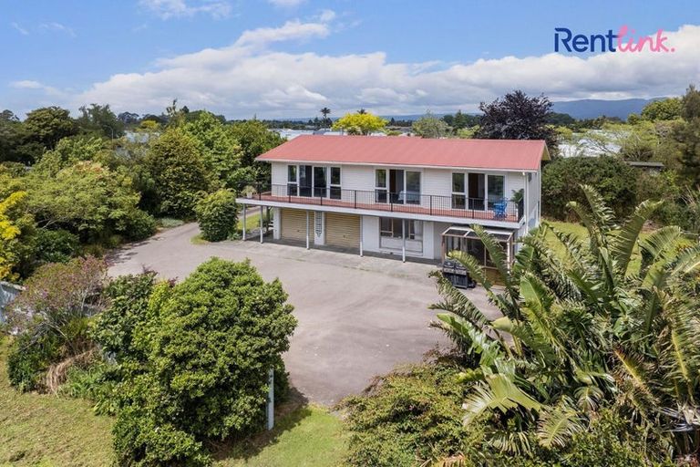 Photo of property in 19 Binnie Road, Katikati, 3129