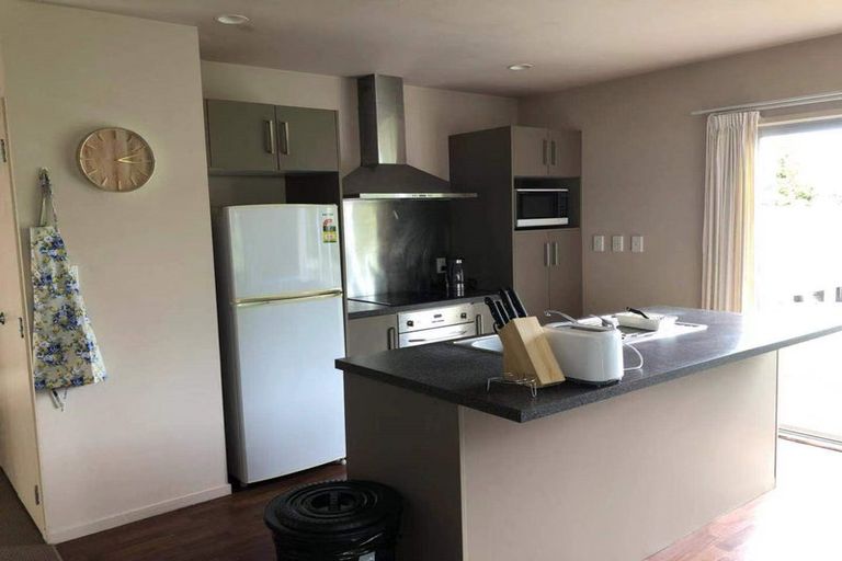 Photo of property in 17a Carey Street, Maeroa, Hamilton, 3200