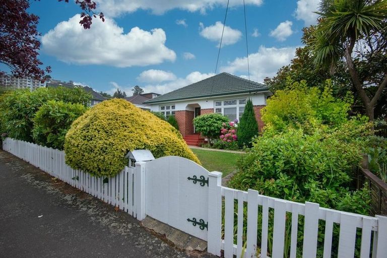 Photo of property in 25 Wycolla Avenue, Saint Clair, Dunedin, 9012