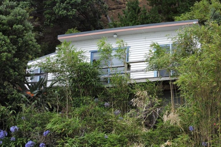 Photo of property in 824 Thames Coast Sh25 Road, Tapu, Thames, 3575