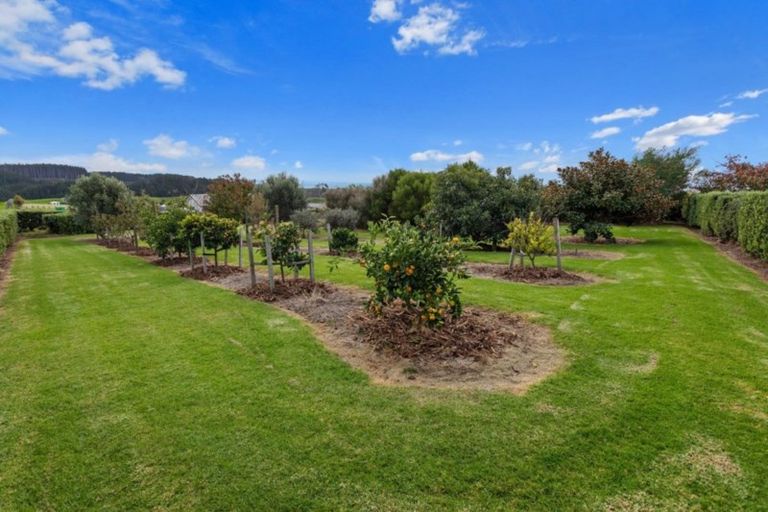 Photo of property in 86f Mimiha Ridge Road, Matata, Whakatane, 3194