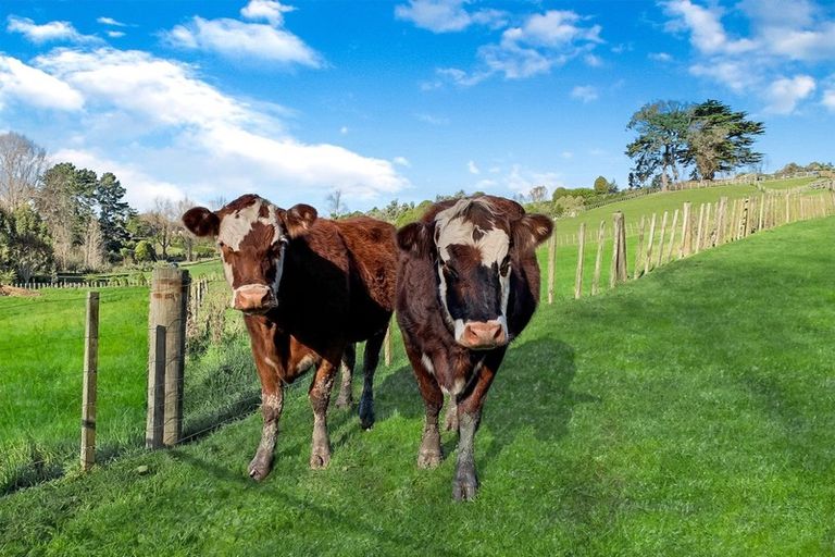 Photo of property in 17c Teal Avenue, Feilding, 4775