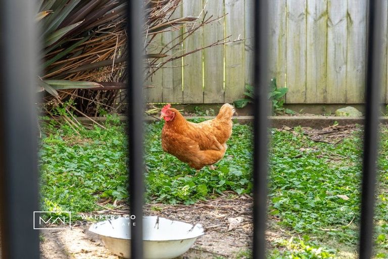 Photo of property in 6 Paton Street, Maymorn, Upper Hutt, 5018