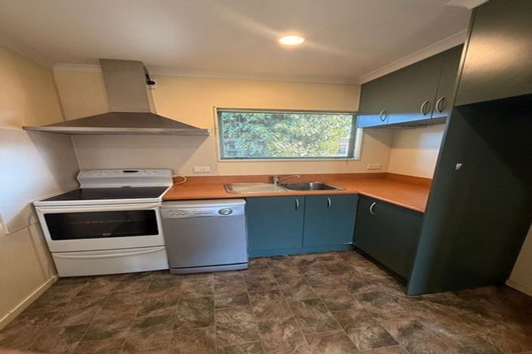 Photo of property in 14 Oxford Street, Fairfield, Hamilton, 3214