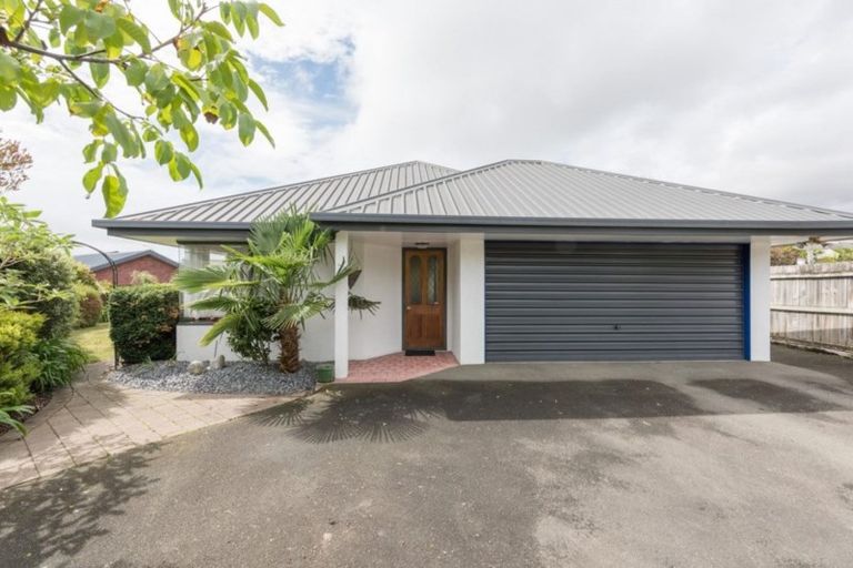 Photo of property in 15 Albizia Place, Richmond, 7020