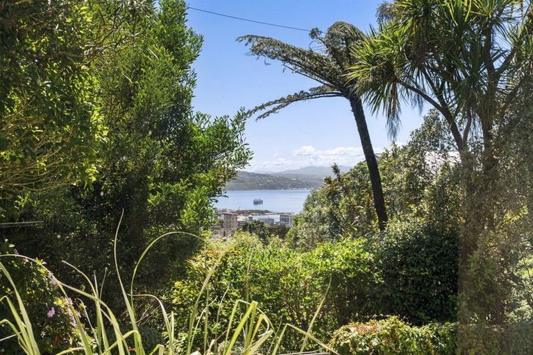 Photo of property in 9 Laura Avenue, Brooklyn, Wellington, 6021