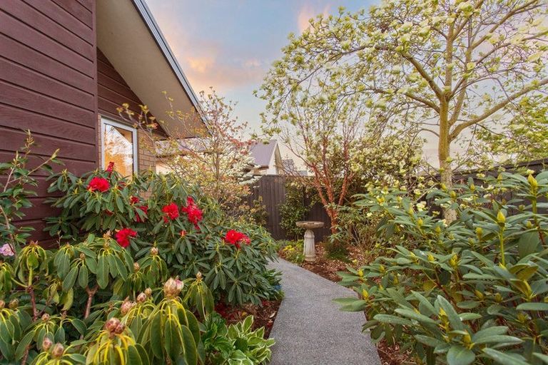 Photo of property in 3 Bellvue Drive, Prebbleton, 7604