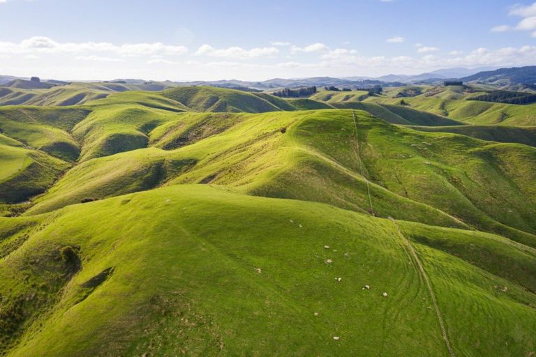 Photo of property in 390 North Road, North East Valley, Dunedin, 9010