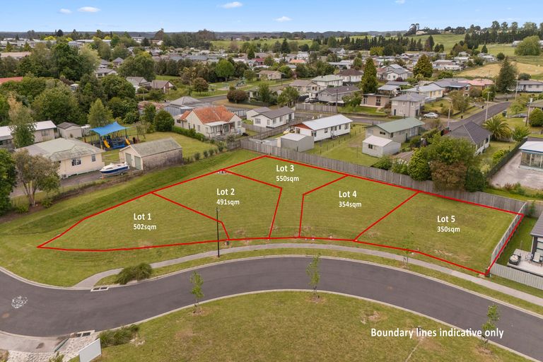 Photo of property in 40 Scotia Glen Street, Putaruru, 3411
