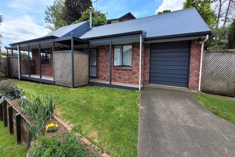 Photo of property in 183 Ohauiti Road, Hairini, Tauranga, 3112