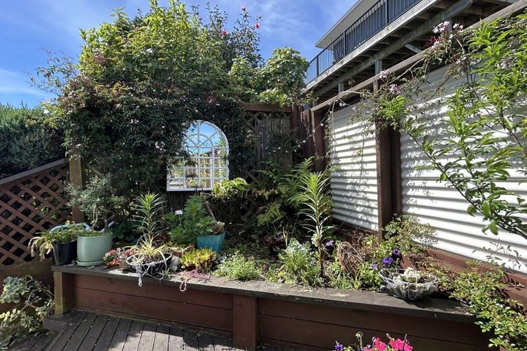 Photo of property in 49 Kakariki Grove, Waikanae, 5036